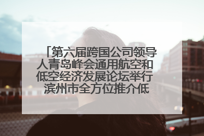 第六届跨国公司领导人青岛峰会通用航空和低空经济发展论坛举行 滨州市全方位推介低空经济发展优势